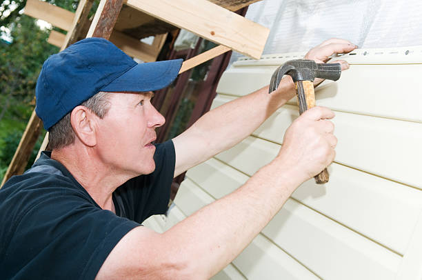 Best Insulated Siding Installation  in Lford, MI