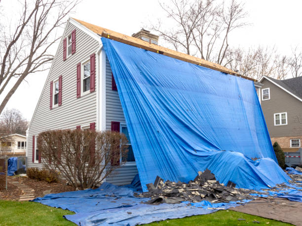 Best Custom Trim and Detailing for Siding  in Lford, MI